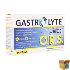 GASTROLYTE ORS RIJST BANAAN PDR ZAKJE 6