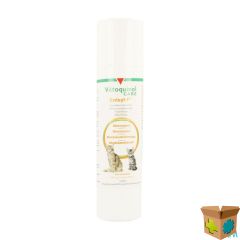 ENISYL F ORALE PASTA KAT 100ML