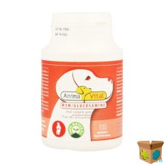 MSM GLUCOSAMINE COMP 100