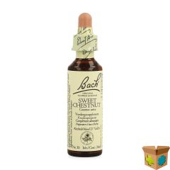 BACH FLOWER REMEDIE 30 SWEET CHESTNUT 20ML