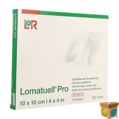 LOMATUELL PRO KOMPRES STER 10X10CM 10 30871