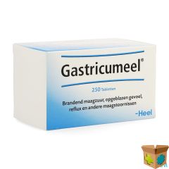 GASTRICUMEEL COMP 250