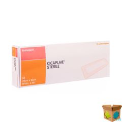 CICAPLAIE VERB STERIEL 30,0CMX10CM 25 66660277