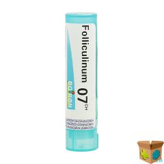 FOLLICULINUM 7CH GR 4G BOIRON