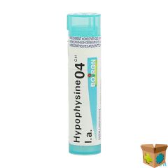 HYPOPHYSINE L.A. 4CH GR 4G BOIRON