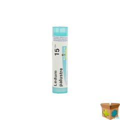 LEDUM PALUSTRE 15CH GR 4G BOIRON