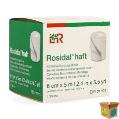 ROSIDAL HAFT COHESIEVE WINDEL 6CMX5M 1 31973