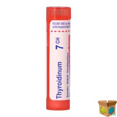 THYROIDINUM 07CH GR 4G BOIRON