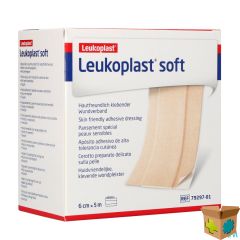 LEUKOPLAST SOFT 5MX6CM 1