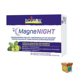 MAGNENIGHT CAPS 30 BOIRON