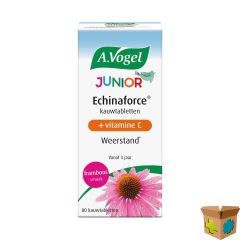 A.VOGEL ECHINAFORCE JUNIOR+VIT C FRAMBOOS TABL 80