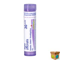 SEPIA OFFICINALIS 30CH GR 4G BOIRON