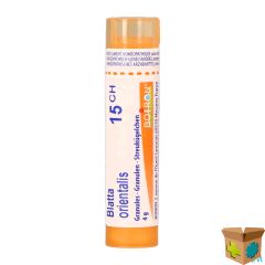 BLATTA ORIENTALIS 15CH GR 4G BOIRON