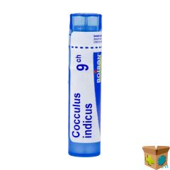 COCCULUS INDICUS 9CH GR 4G BOIRON
