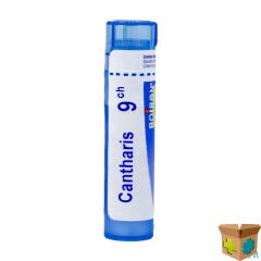 CANTHARIS 9CH GR 4G BOIRON