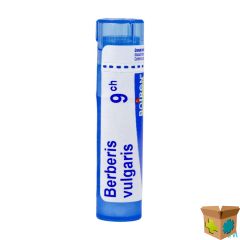 BERBERIS VULGARIS 9CH GR 4G BOIRON