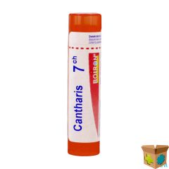 CANTHARIS 7CH GR 4G BOIRON