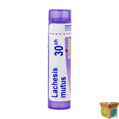 LACHESIS MUTUS 30CH GR 4G BOIRON