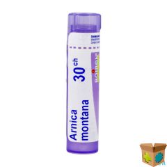 ARNICA MONTANA 30CH GR 4G BOIRON