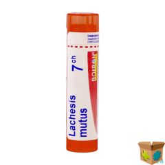 LACHESIS MUTUS 7CH GR 4G BOIRON