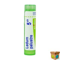 LEDUM PALUSTRE 5CH GR 4G BOIRON