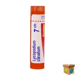 LYCOPODIUM CLAVATUM 7CH GR 4G BOIRON