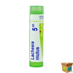 LACHESIS MUTUS 5CH GR 4G BOIRON