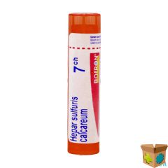HEPAR SULFURIS CALCAREUM 7CH GR 4G BOIRON