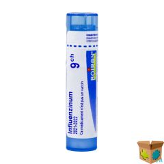 INFLUENZINUM 9CH GR 4G BOIRON