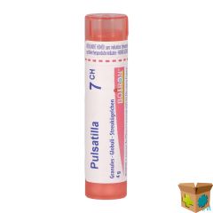 PULSATILLA 7CH GR 4G BOIRON