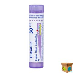 PULSATILLA 30CH GR 4G BOIRON