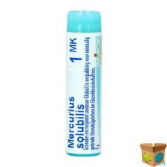 MERCURIUS SOLUBILIS MK GL BOIRON