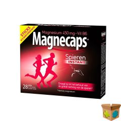 MAGNECAPS SPIERKRAMPEN STICKS 28