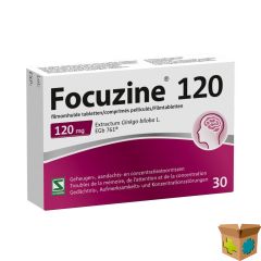FOCUZINE 120MG FILMOMH TABL 30 X 120MG