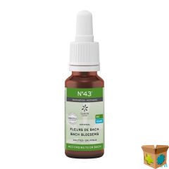 BACHBLOESEM BIO N43 DRUPPELS MOTIVATIE 20ML