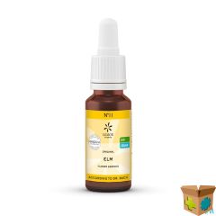 BACHBLOESEM BIO N11 ELM 20ML