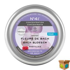 BACHBLOESEM PASTILLES N41 CONCENTRATIE 50G