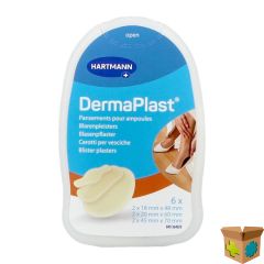 DERMAPLAST BLAREN SELFCARE MIX PACK 6