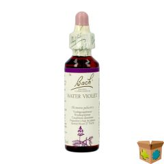 BACH FLOWER REMEDIE 34 WATER VIOLET 20ML