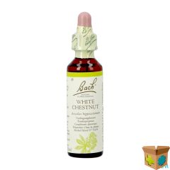 BACH FLOWER REMEDIE 35 WHITE CHESTNUT 20ML