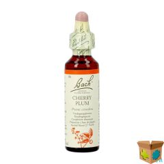 BACH FLOWER REMEDIE 06 CHERRY PLUM 20ML