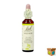 BACH FLOWER REMEDIE 37 WILD ROSE 20ML