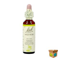 BACH FLOWER REMEDIE 37 WILD ROSE 20ML