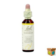 BACH FLOWER REMEDIE 17 HORNBEAM 20ML