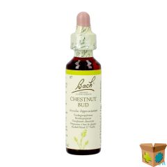BACH FLOWER REMEDIE 07 CHESTNUT BUD 20ML