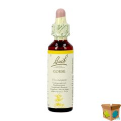 BACH FLOWER REMEDIE 13 GORSE 20ML