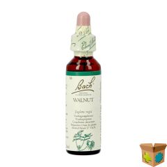 BACH FLOWER REMEDIE 33 WALNUT 20ML