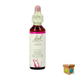 BACH FLOWER REMEDIE 19 LARCH 20ML