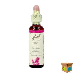 BACH FLOWER REMEDIE 24 PINE 20ML