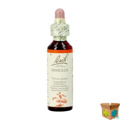 BACH FLOWER REMEDIE 20 MIMULUS 20ML
